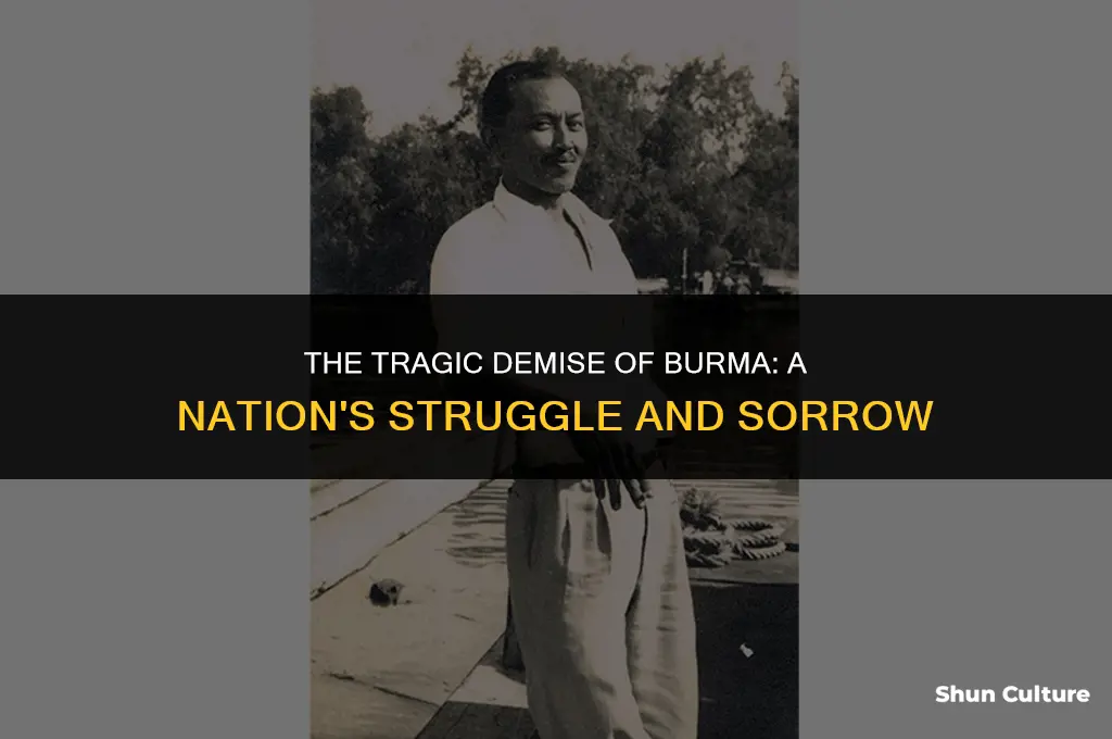 how did burma die