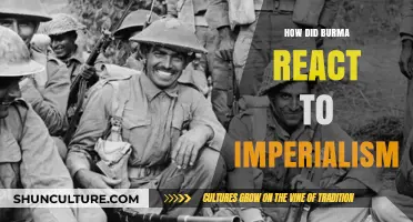 Resilience and Resistance: Burma's Response to Imperial Domination