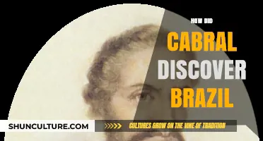 Pedro Álvares Cabral's Voyage: Unraveling Brazil's Accidental Discovery