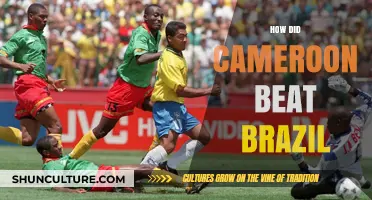Cameroon's Historic Upset: Tactics That Defeated Brazil in 1994