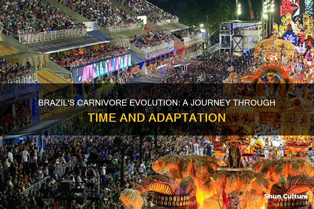 how did carnivores evolve in brazil