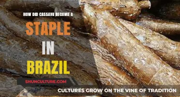 Cassava's Journey: How It Became Brazil's Essential Food Staple