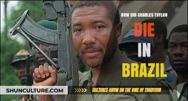 Charles Taylor's Mysterious Death in Brazil: Unraveling the Truth