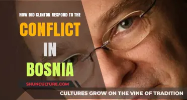 Clinton's Bosnia Strategy: Diplomacy, Intervention, and Peace Efforts Explained