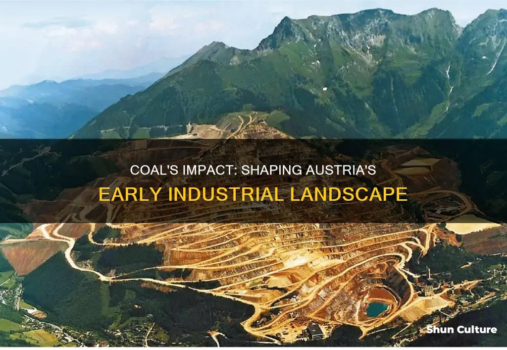 how did coal affect the initial settlement in austria