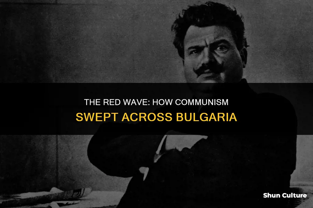 how did communists take over bulgaria