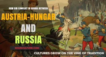 The Great War's Spark: Serbia's Conflict with Austria-Hungary and Russia