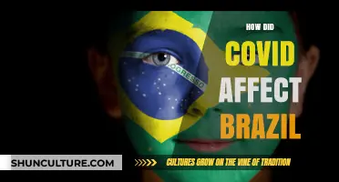 COVID-19's Impact on Brazil: Economy, Health, and Society Transformed