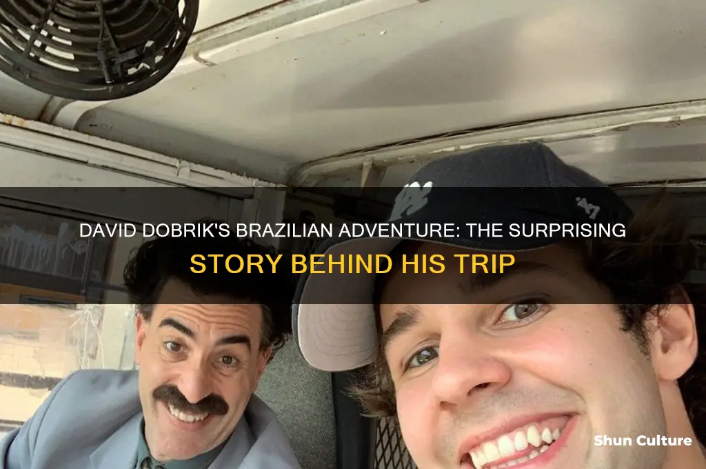 how did david dobrick go.to brazil