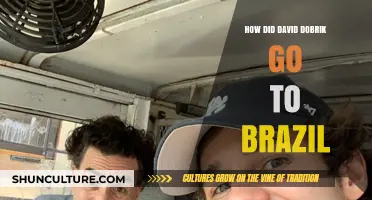 David Dobrik's Brazilian Adventure: The Surprising Story Behind His Trip