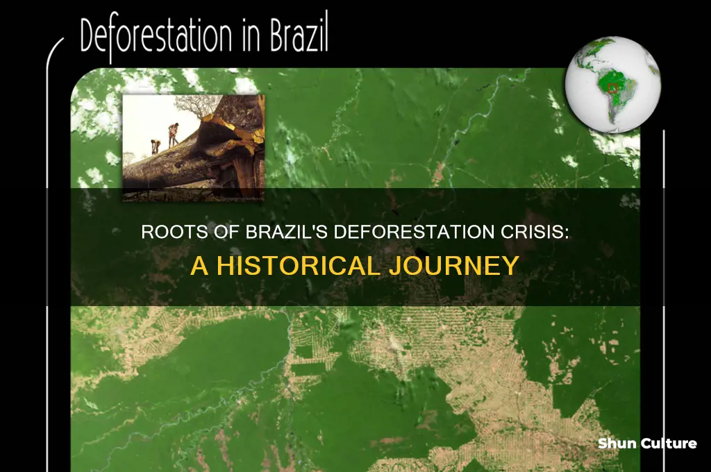 how did deforestation start in brazil