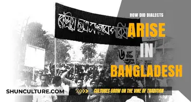 Origins of Bangladesh's Diverse Dialects: A Linguistic Evolution Explored