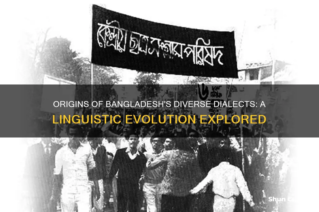 how did dialects arise in bangladesh
