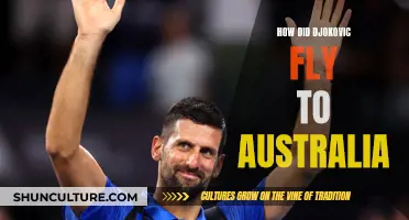 Djokovic's Flight to Australia: What Really Happened?