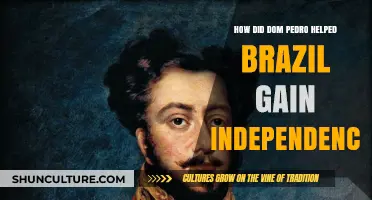 Dom Pedro's Role in Brazil's Independence: A Historical Overview
