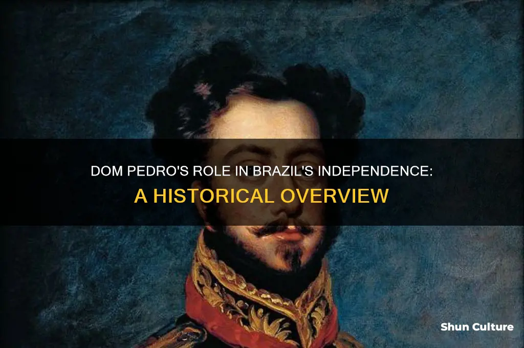 how did dom pedro helped brazil gain independence