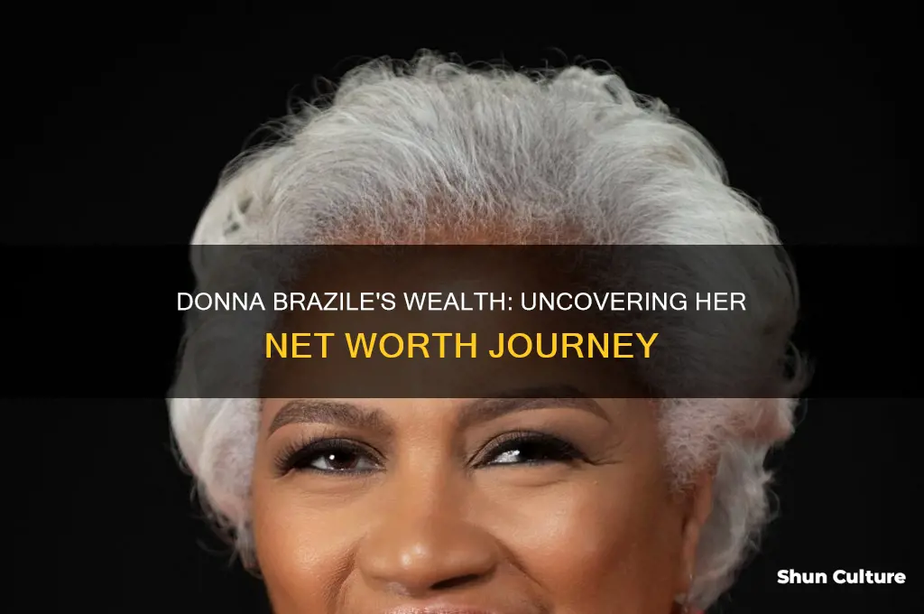 how did donna brazile obtain net worth