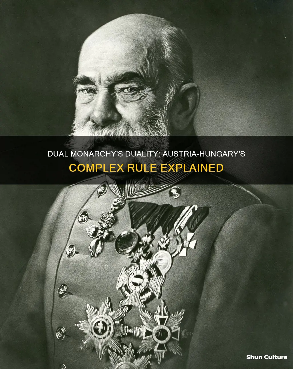 how did dual monarchy of austria hungary function