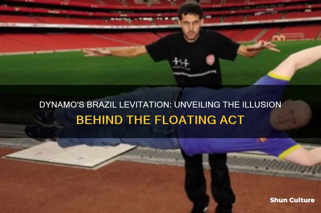 how did dynamo float in brazil
