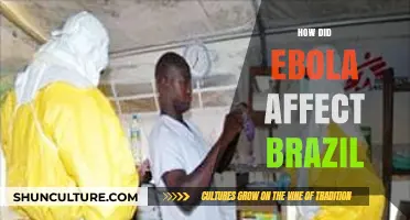 Ebola's Impact on Brazil: Challenges, Response, and Lessons Learned