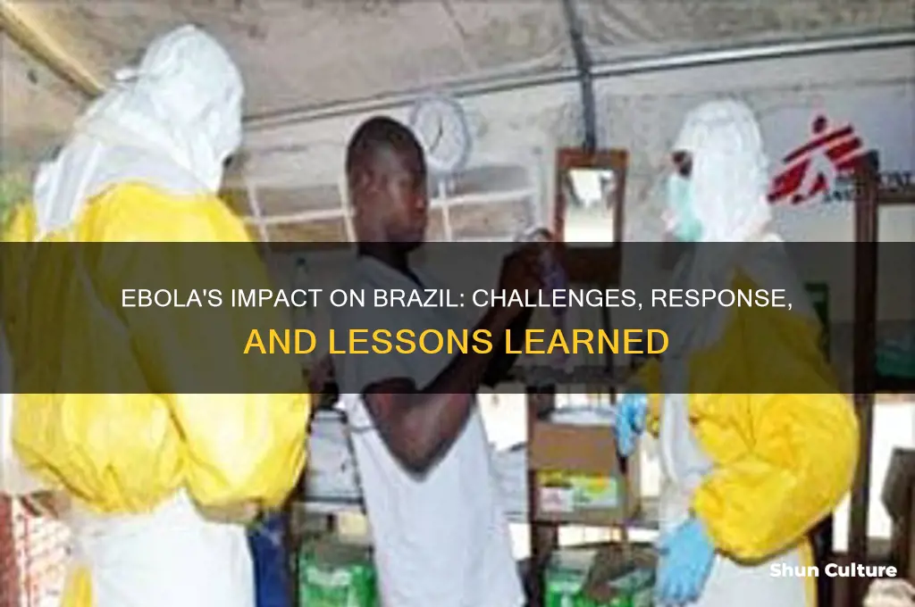how did ebola affect brazil