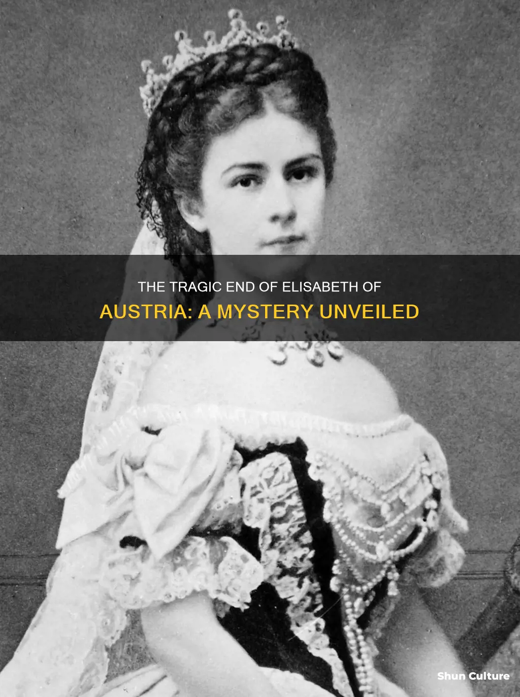 how did elisabeth of austria die