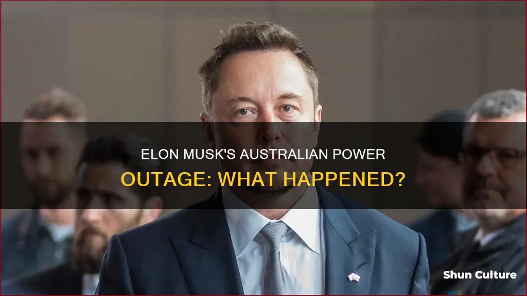 how did elon musk find out about australias power outage