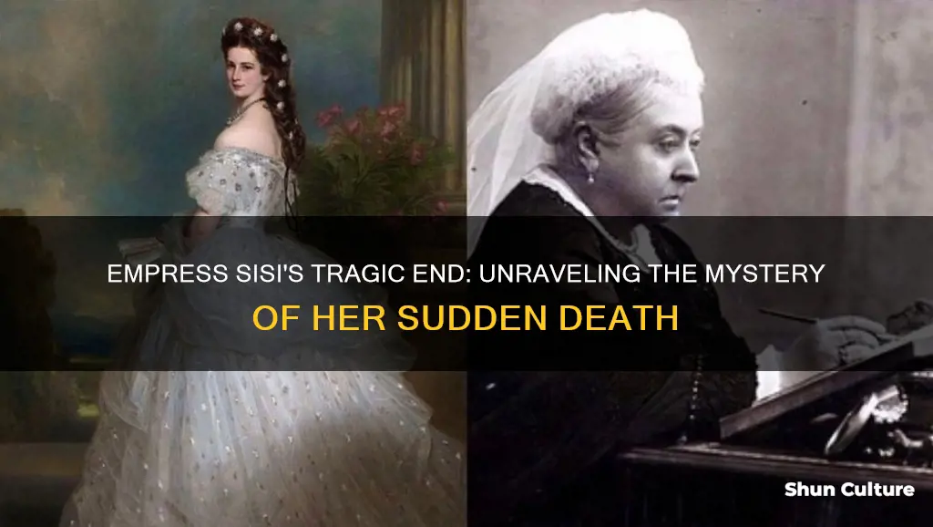 how did empress sisi of austria die