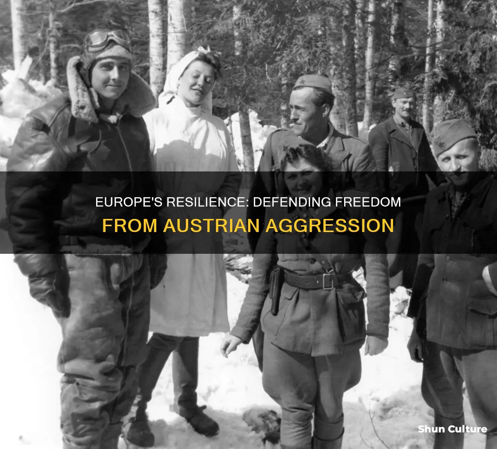 how did europe respond to austria invasion