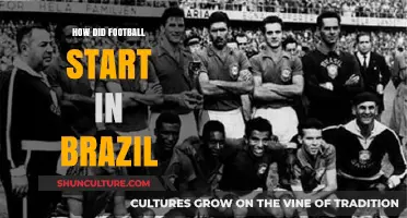 The Birth of Brazilian Football: A Journey to Global Dominance