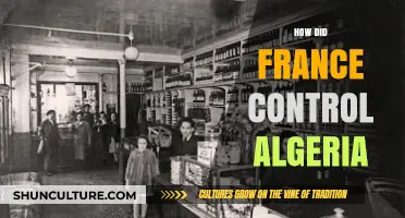 France's Colonial Dominance: Strategies and Impact in Algeria's History