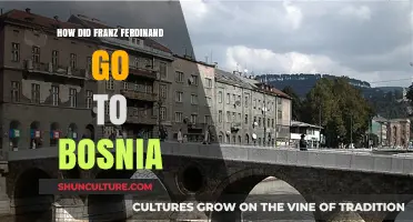 Franz Ferdinand's Fateful Journey to Bosnia: Unraveling the Historic Visit