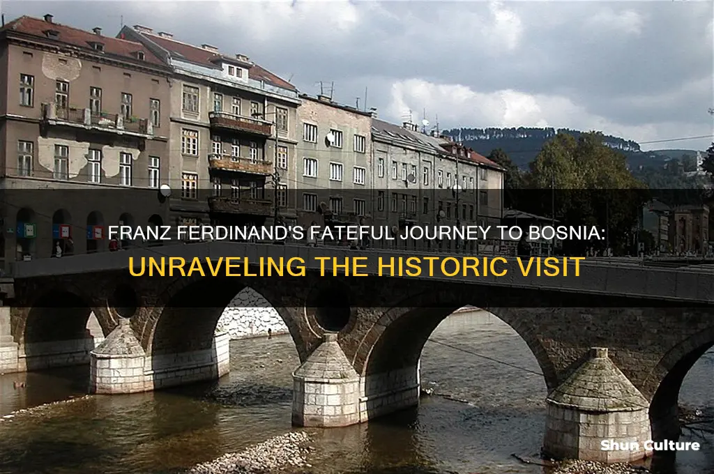 how did franz ferdinand go to bosnia