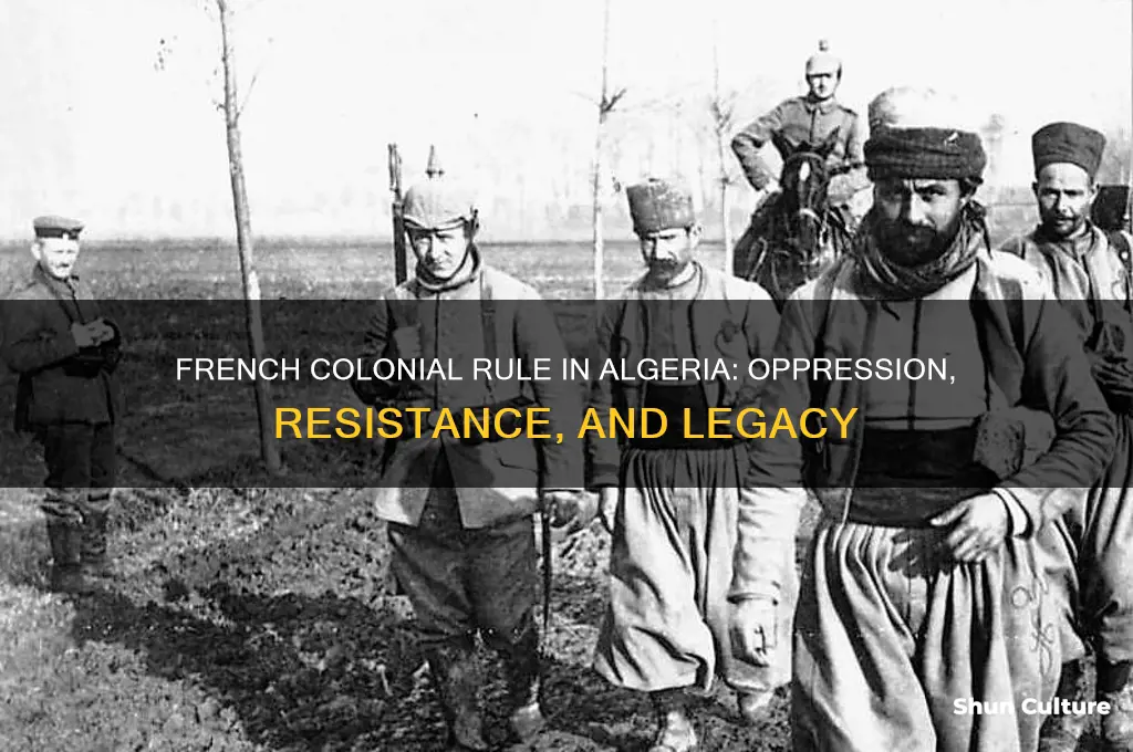 how did french treat algerias people