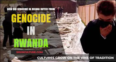 Bosnia vs. Rwanda: Contrasting Genocide Tactics, Triggers, and Global Responses