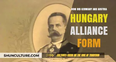 The Birth of an Alliance: Germany and Austria-Hungary's Unlikely Union