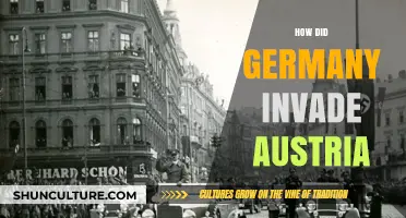 Germany's Swift March: The Austria Invasion Unveiled