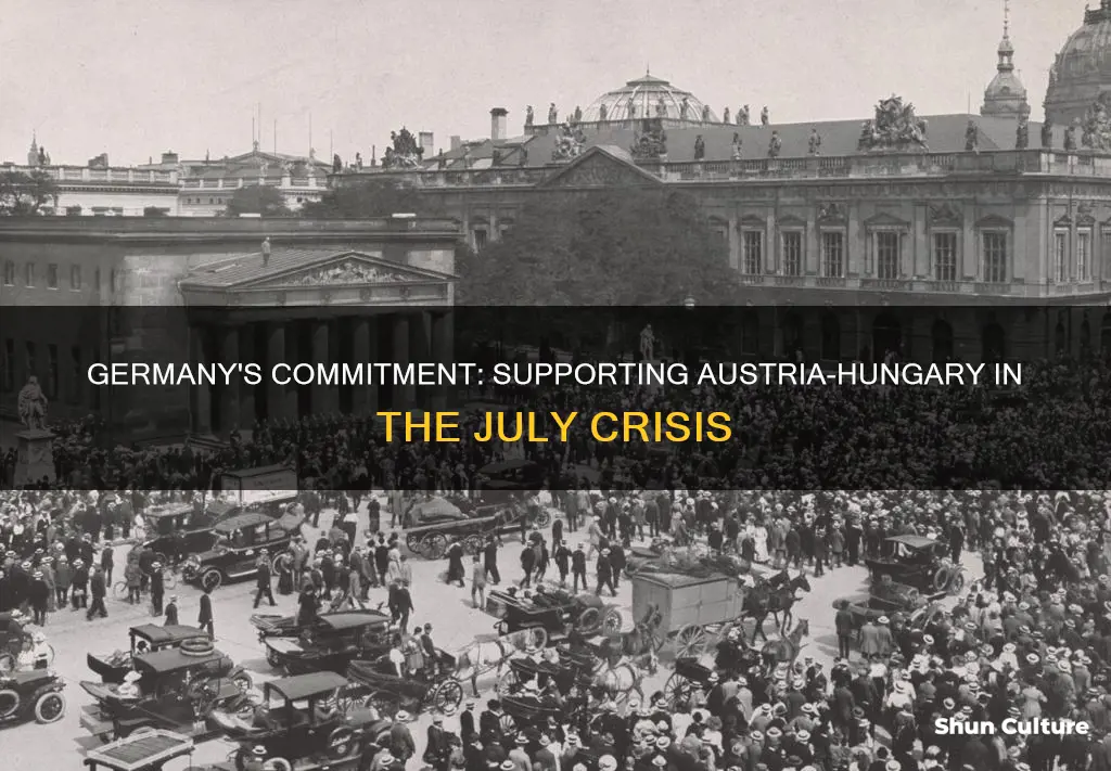 how did germany promise to help austria-hungary in july 1914