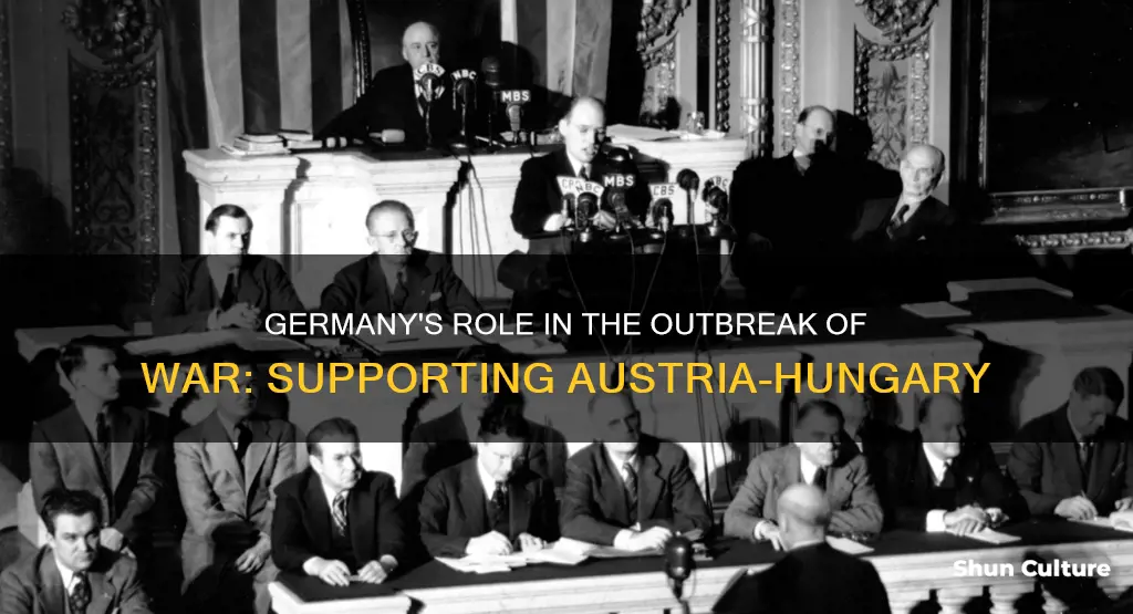 how did germany support austria-hungary when war was declared