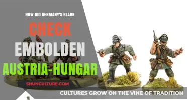 Germany's Blank Check: How It Empowered Austria-Hungary's Aggression