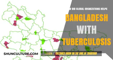 Global Organizations' Role in Bangladesh's Fight Against Tuberculosis