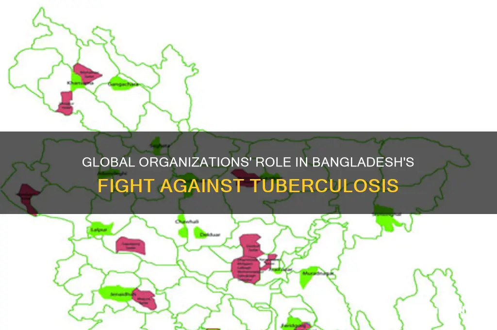 how did global orgnizations helps bangladesh with tuberculosis