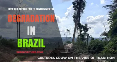 Greed's Devastating Impact: Brazil's Environmental Crisis Unveiled