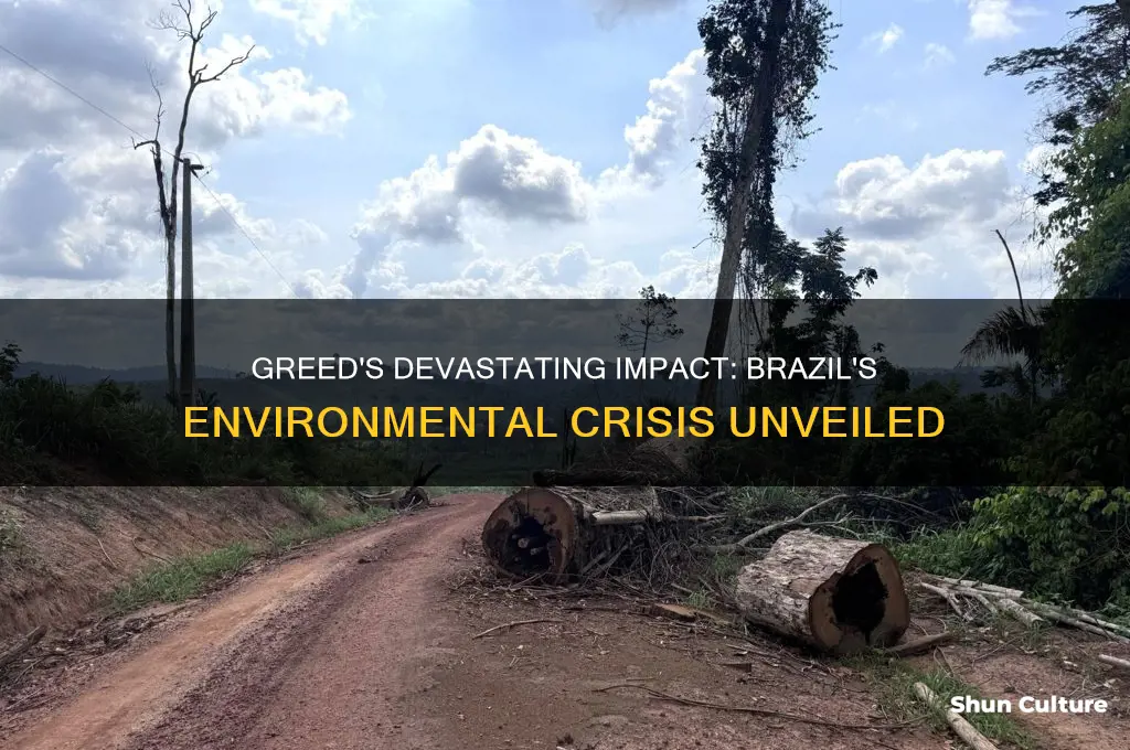 how did greed lead to environmental degradation in brazil