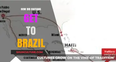 Haitian Migration to Brazil: A Journey of Resilience and Opportunity