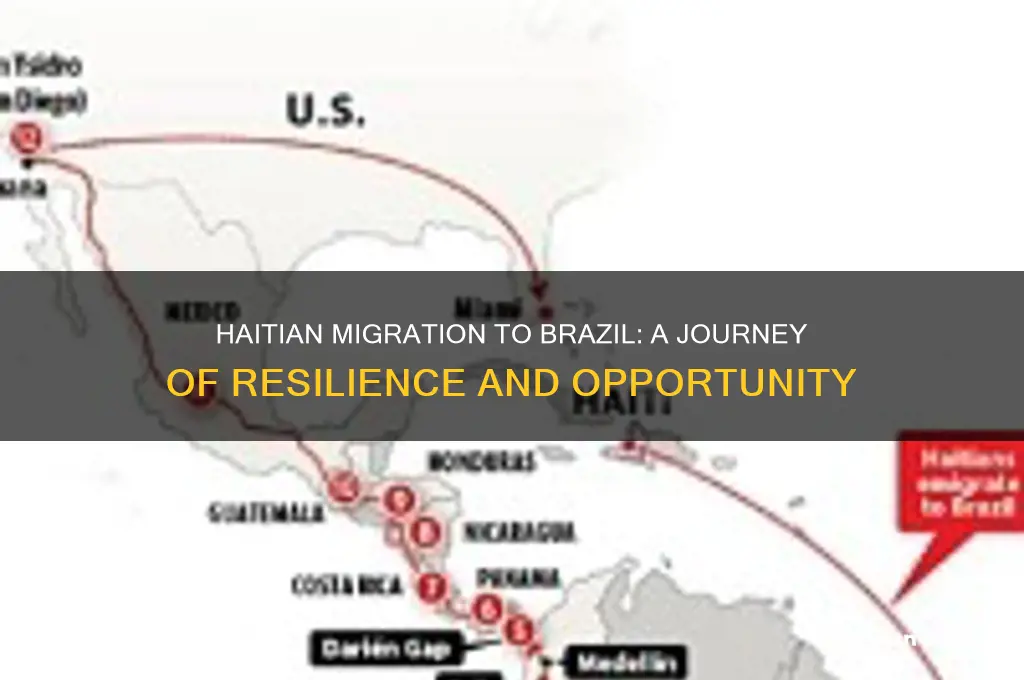 how did haitians get to brazil