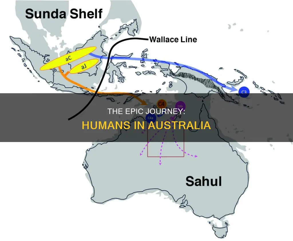 how did humans make it to australia