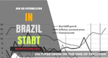 Brazil's Hyperinflation Crisis: Origins and Economic Catalysts Explained