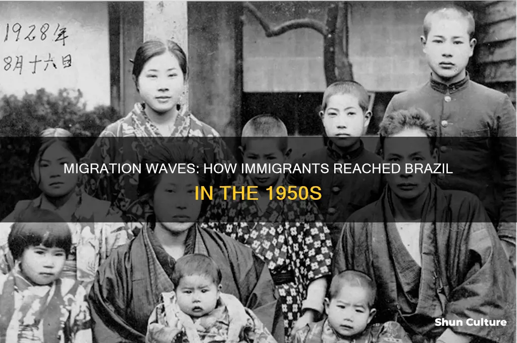 how did immigrants get to brazil in the 50s
