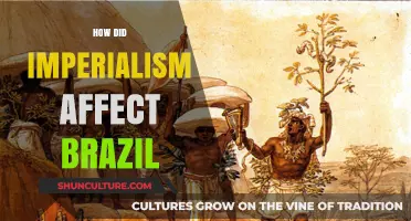 Imperialism's Impact on Brazil: Shaping History, Culture, and Economy